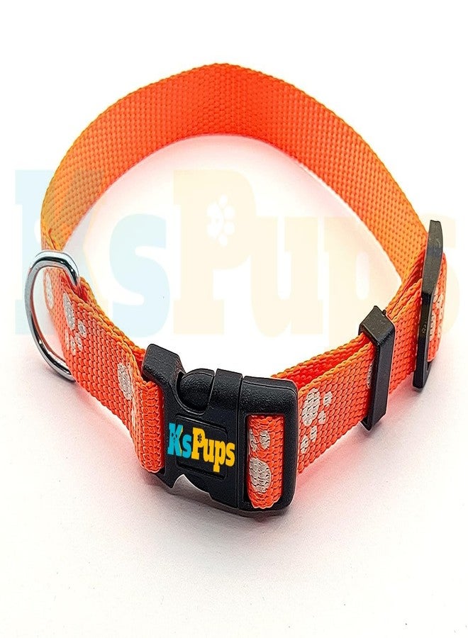 KsPups Paw Printed 15MM Nylon Collar and Leash with Adjustable Plastic Buckle Colour-Full Collar Leash Set Ideal for Puppies/Dogs & Kitten (Orange) - Image 2